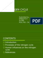 Nitrogen Cycle: Submitted By, Sreejith P S EEE ROLL NO:-54