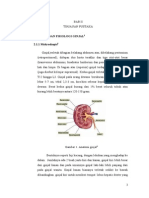 Gambaran Radiologis Trauma Ginjal