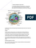 Anatomía y Fisiología de La Célula Animal