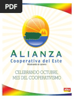 Cooperativas 2013 PDF