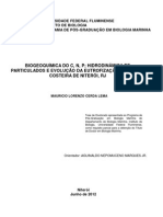 Biogeoquímica Do C, N, P - Hidrodinâmica de Particulados e Evolução Da Eutrofização Na Região Costeira de Niterói, RJ