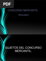 Resumen Concurso Mercantil