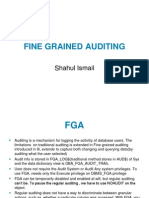 Fine Grained Auditing: Shahul Ismail