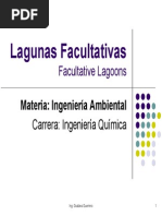 Lagunas Facultativas