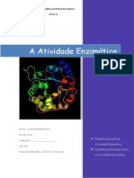 A Atividade Enzimática Relatorio 1 Quim Apl Modulo4