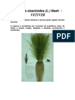 Poder Medicinal Do Vetiver