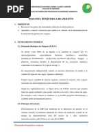 Informe de DBO