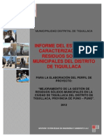 Informe de Tiquillaca Final