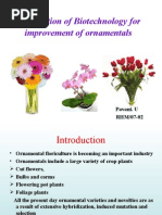 Application of Biotechnology For Improvement of Ornamental Crops