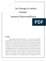 Climate Change & Carbon Market-Issues & Recomaditions