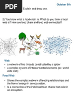 Foodwebs 13 4 Weebly