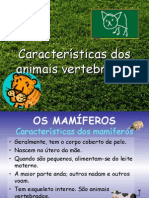 Animais Vertebrados