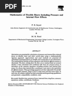 Mathematics of Flexible Risers