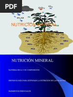 Nutrición Mineral