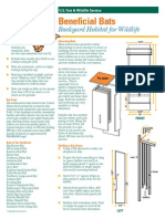Beneficial Bats