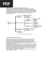 Clasificación de TTM