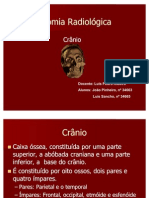 Anatomia Do Cranio