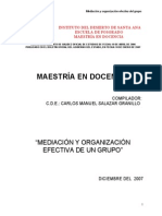 Mediacion y Organizacion Efectiva de Un Grupo