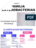 12 Enterobacterias Salmonella