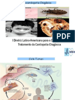 Cardiomiopatia Chagásica PDF