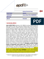 Peritaje de Parte-Caso Gerson Falla (San Borja) - VF