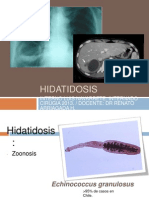 Hidatidosis Int Navarrete