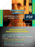 Los Perfiles Psicologicos en La Práctica Juridica