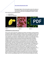 DR A. Di Salvo: CANDIDIASIS (Candida Albicans)