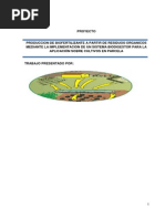 Proyecto - Biol