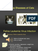 Infectious Diseases of Cats