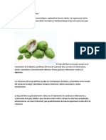 Propiedades Curativas Del Noni