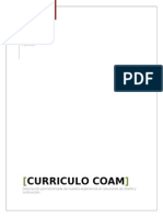 Curriculo Modelo