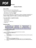 Criterios para Examen Practico Conducir