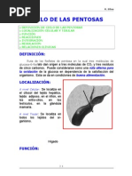 02-Ciclo de Las Pentosas