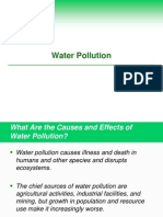 Water Pollution