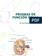 Analisis Clinicos II Prueba de Funcion Renal 2013 II