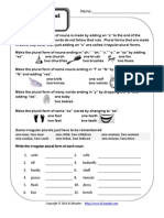 Irregular Plural Nouns PDF