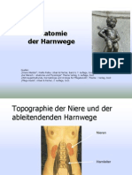 Harnwege PDF