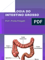 7.fisiologia Do Intestino Grosso