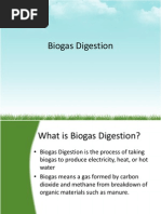 Biogas Digestion