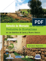 Estudio de Mercado de La Cadena Productiva de Hortalizas