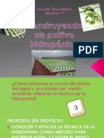 Proyecto Hidroponia