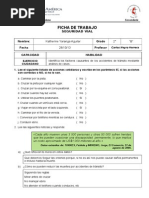 Ficha de Trabajo Seguridad Vial