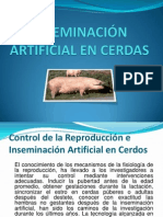 Inseminacion Artificial Cerdas 090728081030 Phpapp02