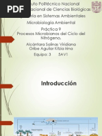 Práctica 9 Microbiología Seminario