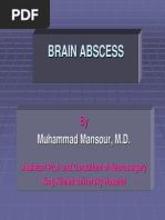 Brain Abscess PDF