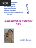 Cavidad Nasal Comparada