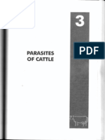 Bovine Meat Inspection-Parasites of Cattle PDF