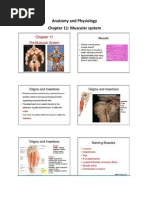 Anatomy and Physiology Notes For Exam 3