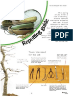 Bonsai EN Repotting Guide PDF